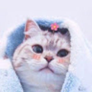 Meet your Posher, Andy